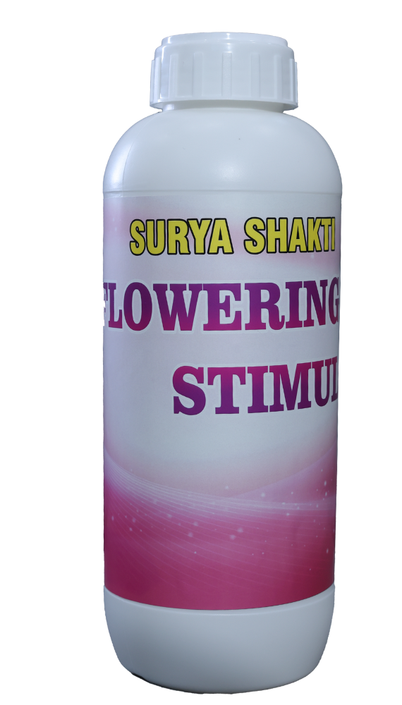 SURYA SHAKTI