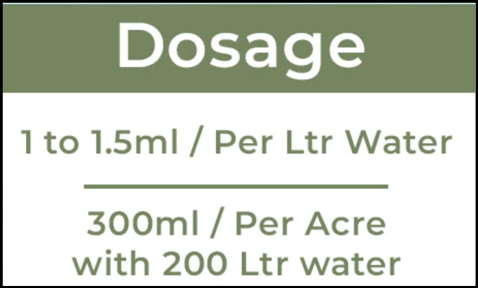 Azoxystrobin 11% + Tebuconazole 18.3% w/w SC - Image 2
