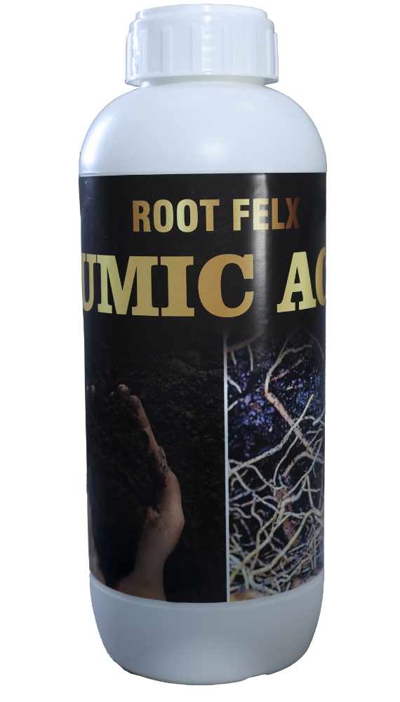 ROOT FLEX