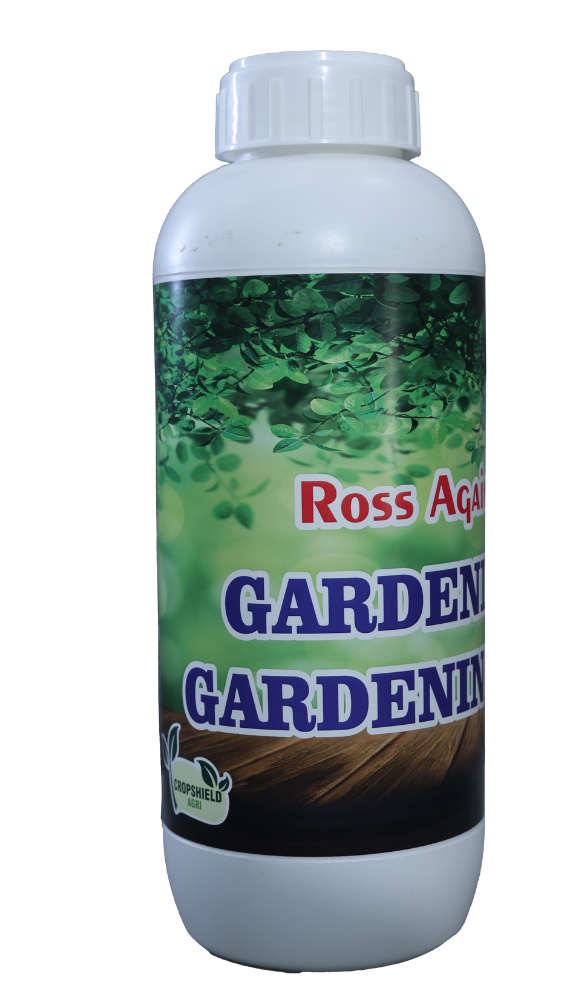 Ross Again Star Neem
